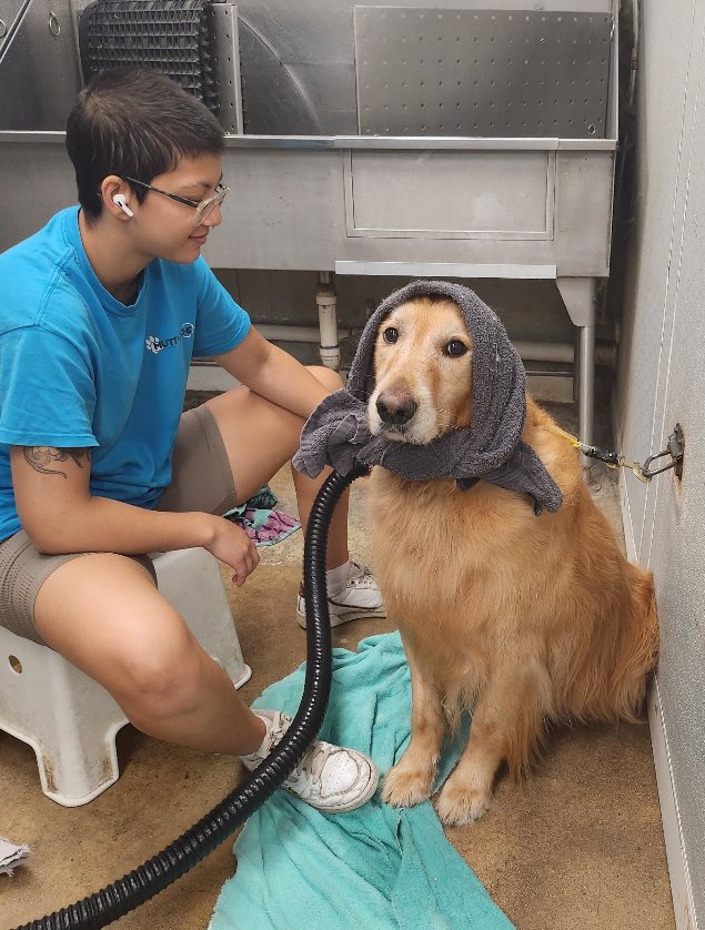 MuttandJoe's tweet photo. Sometimes that pesky blow dryer is just too loud. We would do anything for the comfort of your pups! 🥰
.
.
.
#muttandjoe #dogwash #doggrooming #coffeeshop #marylandgroomers #marylanddogs #marylanddogspots #marylandcoffee #mddogs #severnapark #severnaparkmd #severnaparkdogs https://t.co/TI9eaNj2ag