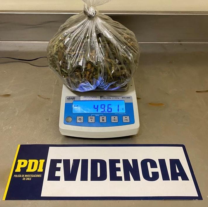 Angolinos.cl tweet media