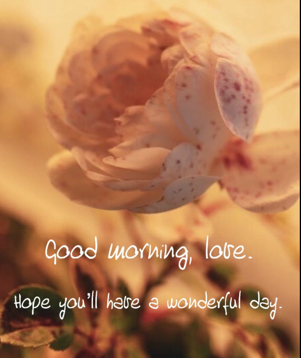 Mark Robert (@emusk73309) on Twitter photo 