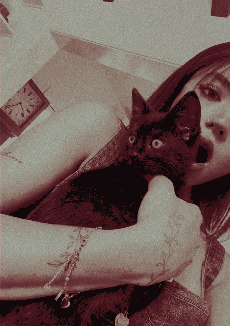 ᅟᅟᅟᅟ‍ ‍ 𝒑𝒂͟𝒓͟𝒌͟𝒆͟𝒓, 𝐡𝐚𝐥𝐞𝐲. (@tutorglrlz) on Twitter photo 