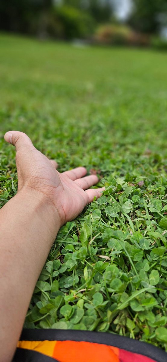 Your friendly reminder that you spend hours on end, to grind millions of impressions, and I'm proud of you! But don't forget to touch grass every so often! You deserve it!