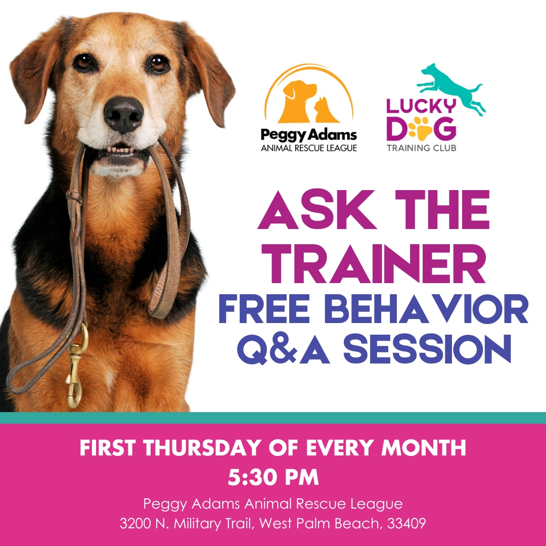 Our next FREE Ask the Trainer Q&A Session is NEXT WEEK! ⁠If you've ever wondered about training techniques, behavioral issues, or simply want expert advice on how to enhance your furry friend's well-being, this is the opportunity for you!
⁠
Learn more: PeggyAdams.org/AskTheTrainer
