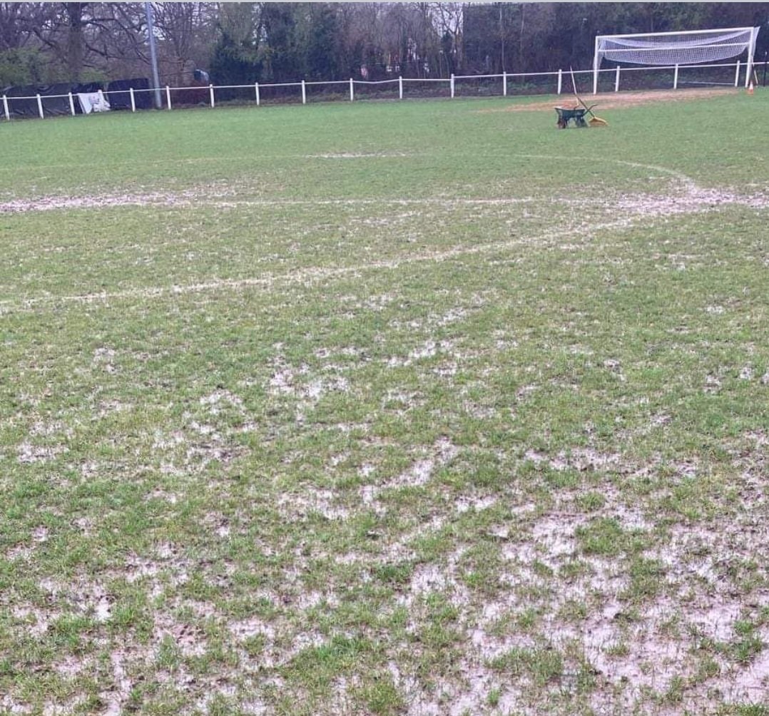 Harpenden Town FC tweet media