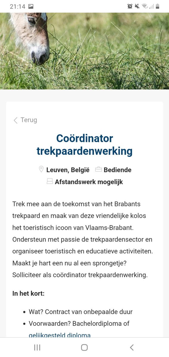 Dominique Biebau tweet media