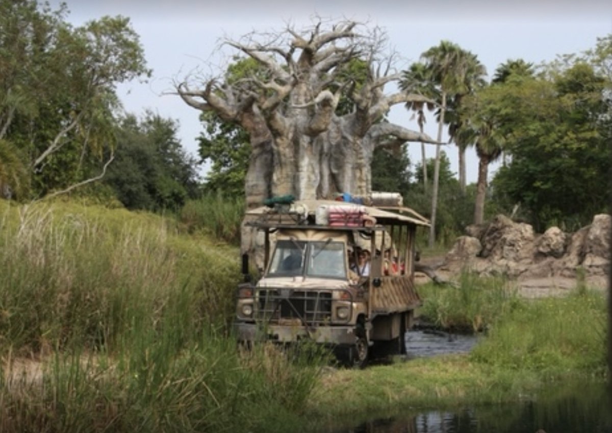 JimShull's tweet photo. The made by hand from concrete tree and rock forms were painted. As part of the painting tones and shades that appear to be ‘dirt’ were added adding to the illusion of reality. Real stuff gets dirty. #WDW #rockwork https://t.co/plBIdHeZT8