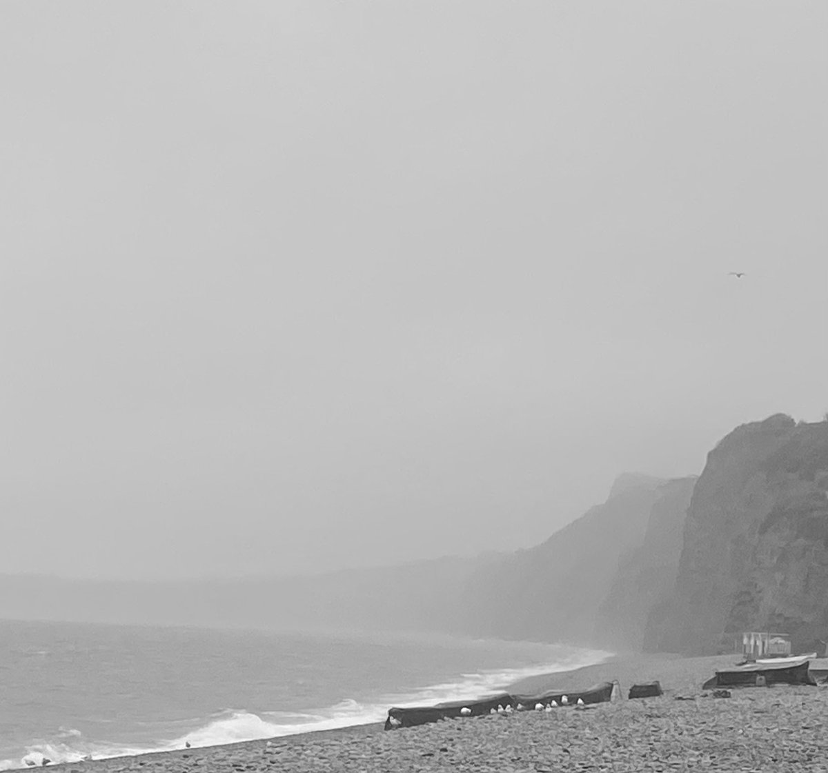sheptinstall's tweet photo. Misty mystery at the beach: what ever happened to summer?
#jurassiccoast
#eastdevon
#sw660 https://t.co/EV8kfJHXI2