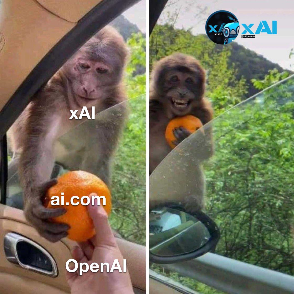 <a href="/elonmusk/">Elon Musk</a> @zafar_mirzo <a href="/xai/">xAI</a> Can’t wait for the launch 🚀