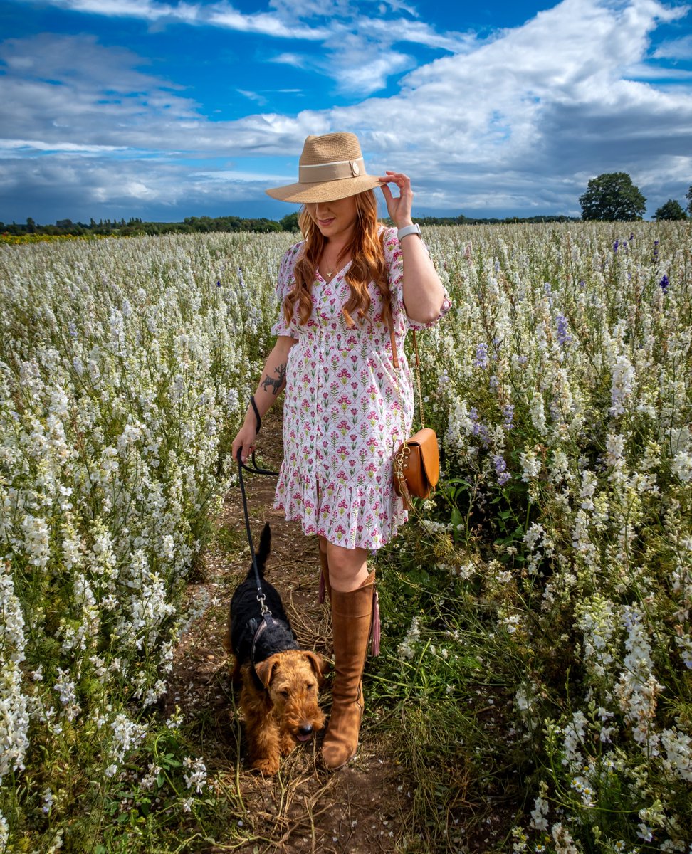 Welligogsltd's tweet photo. A stunning photo wearing our Gardenia Dress. Fabulous walking outfit darling!
https://t.co/E8AAor09BR
#welligogs #distinctlybritish #summerdress #dogwalkingoutfit #countrygirl #doglover #walkinginstyle https://t.co/p1Y7iqN3YE