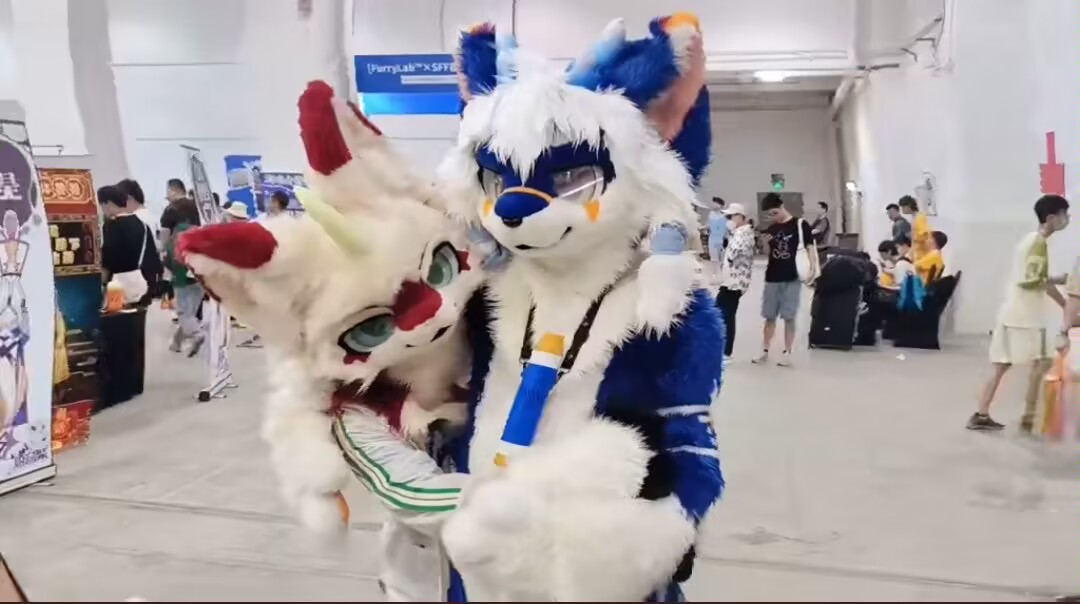 里尔—furry tweet media