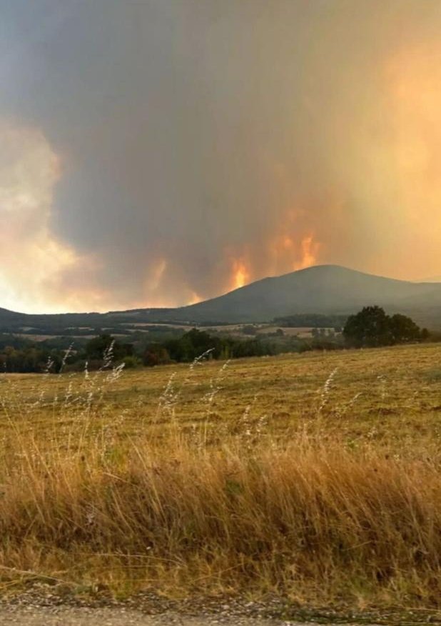 Western Thrace has been burning for 13 days. Greece did not accept Türkiye's offer of help.

The EU is watching silently. Please make our voices heard.

#westernthrace #batiTrakyayaniyor #helpforGreece