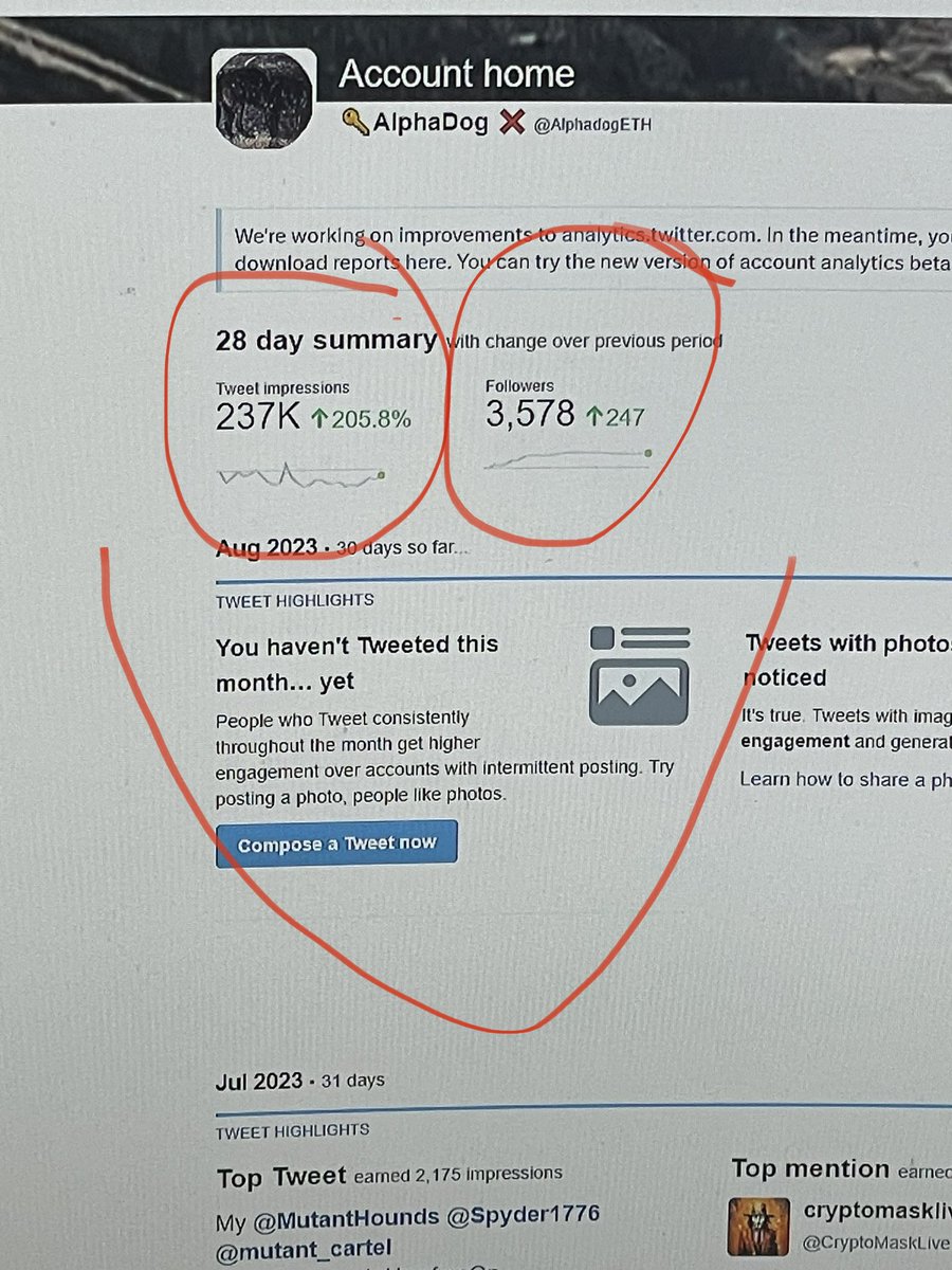 Build now relax later follow <a href="/AlphadogETH/">AlphaDog</a> and let’s work together 30 day turn around up 200% work smarter not harder