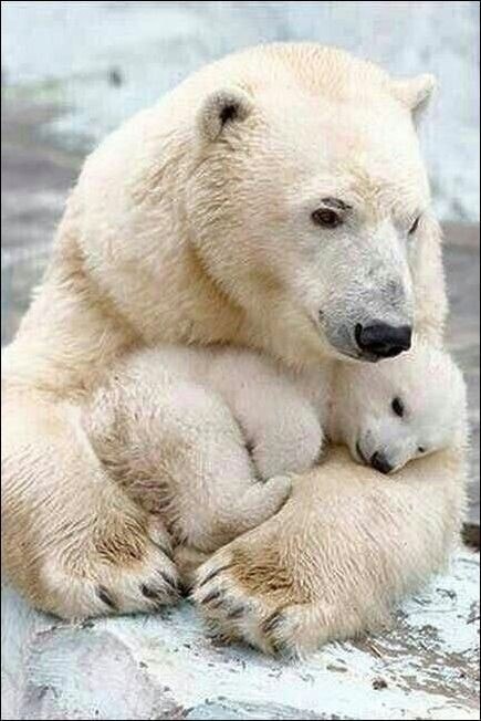 Wonderful! Safe with her mom ❤🙏