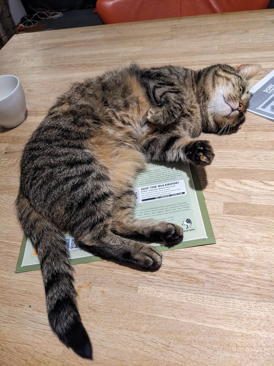 Pet the belly!

Me being too cute, preventing staff to go to bed early...

#CatsOfTwitter
#hedgewatch