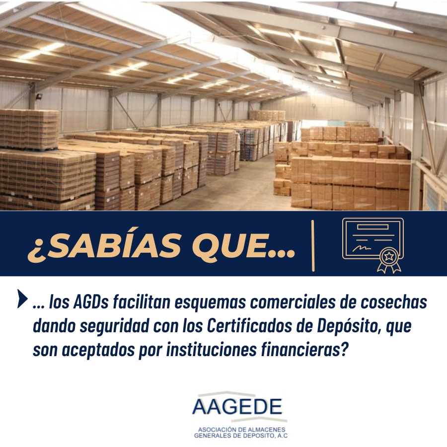 AAGEDEAC's tweet photo. ¡Hoy les compartimos uno de los grandes beneficios de los Almacenes Generales de Depósito (AGDs), como son los Certificados de Depósito!📦📜
#PorLaAgricultura #ImportacionMexico #UnionesdeCredito  #comercioexterior
#almacenesdedeposito  #almacenes #almacenesmexico #aduanasmx https://t.co/3P5c67Uv8Y