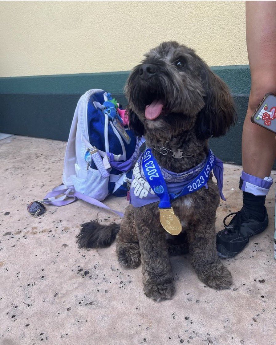 retiredcheerr's tweet photo. i would die for luca btw https://t.co/BJqgrVjs5Y