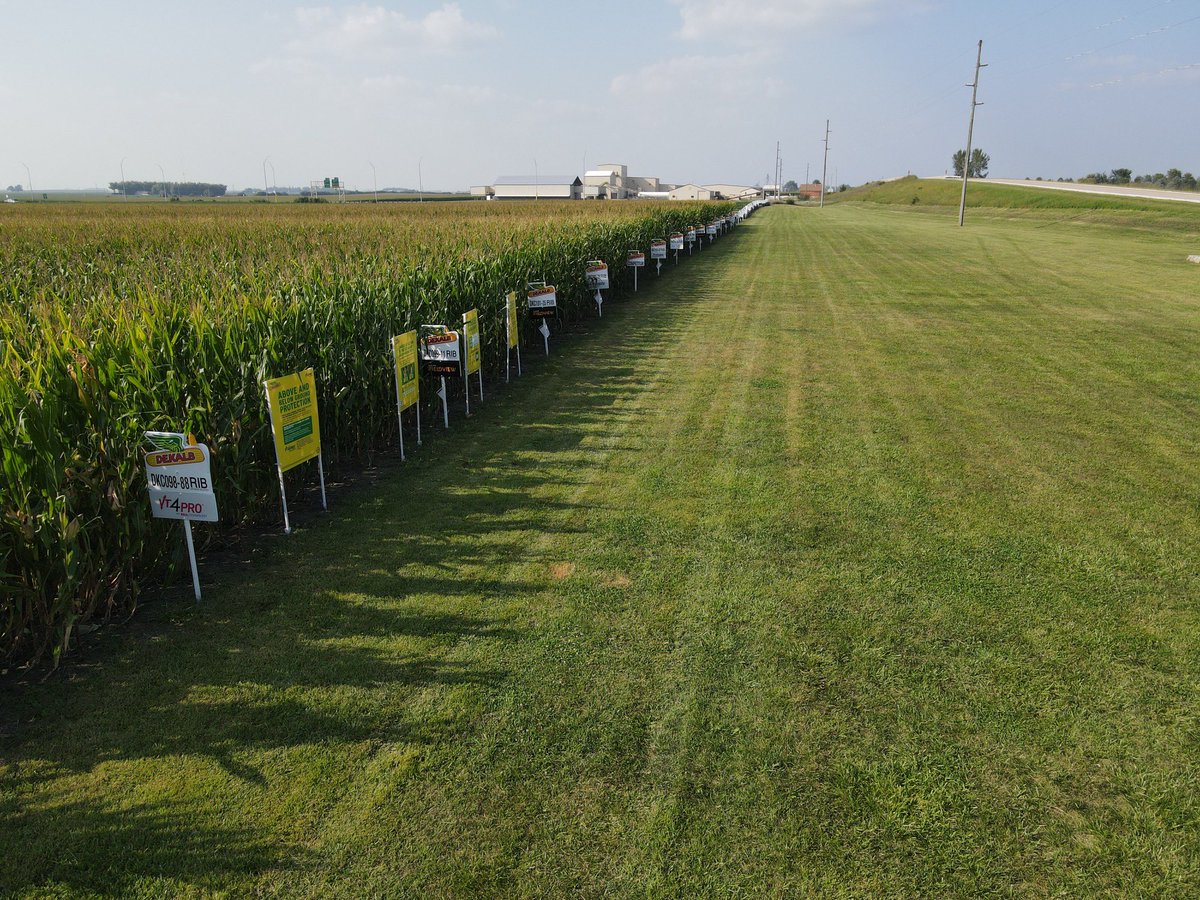 Our agronomist have put and endless hours to make Williams a fantastic learning center!

Featuring:
New Products
Smart Corn
Alloy and Asgrow 
Population trials
Chemical Demonstration
Tar spot test
And much more

Contact your local FSR/Dealer if you would like to take a tour!