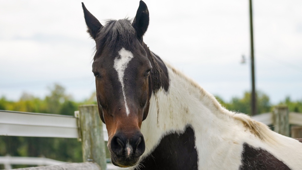 Alfred University tweet media