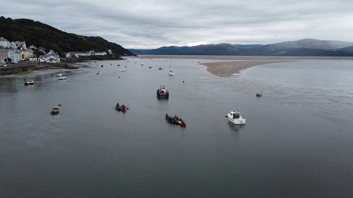 XP. School tweet media