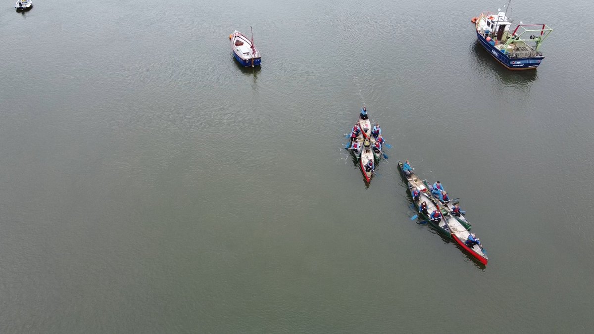 XP. School tweet media