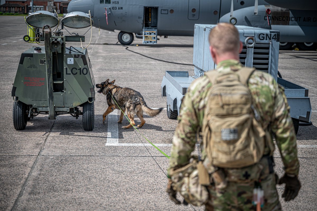 The @CTNationalGuard's 928th Military Working Dog Detachment searched a 103rd Airlift Wing C-130H aircraft in an exercise that tested the capabilities of its K-9 service dogs. 🔗ngpa.us/26727 📸ngpa.us/26726