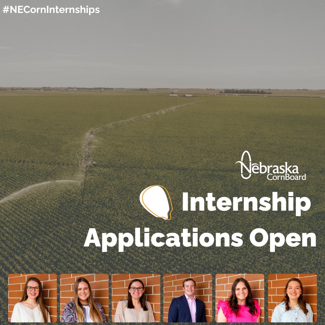 NECornBoard's tweet photo. Nebraska Corn is excited to announce that our internship applications are now LIVE! We are offering 5 internships in 4 cities including Washington, D.C., St. Louis, Denver and Lincoln! 

Want to learn more? Visit https://t.co/QoXFnrRVNj. These are due October 13th, so don't wait! https://t.co/2L1joql5La