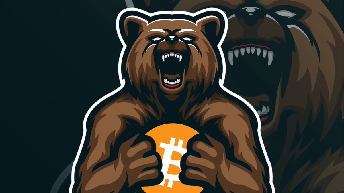 CryptonomiQ's tweet photo. 📉 #Bitcoin takes a dip, landing in the $23K zone! 🎢 #HODLers, it's all about the long game. 💪🚀 #Bitcoin #CryptoCrazy #HODLStrong #BitcoinCrash #BitcoinETF https://t.co/9XEkL4VWpB