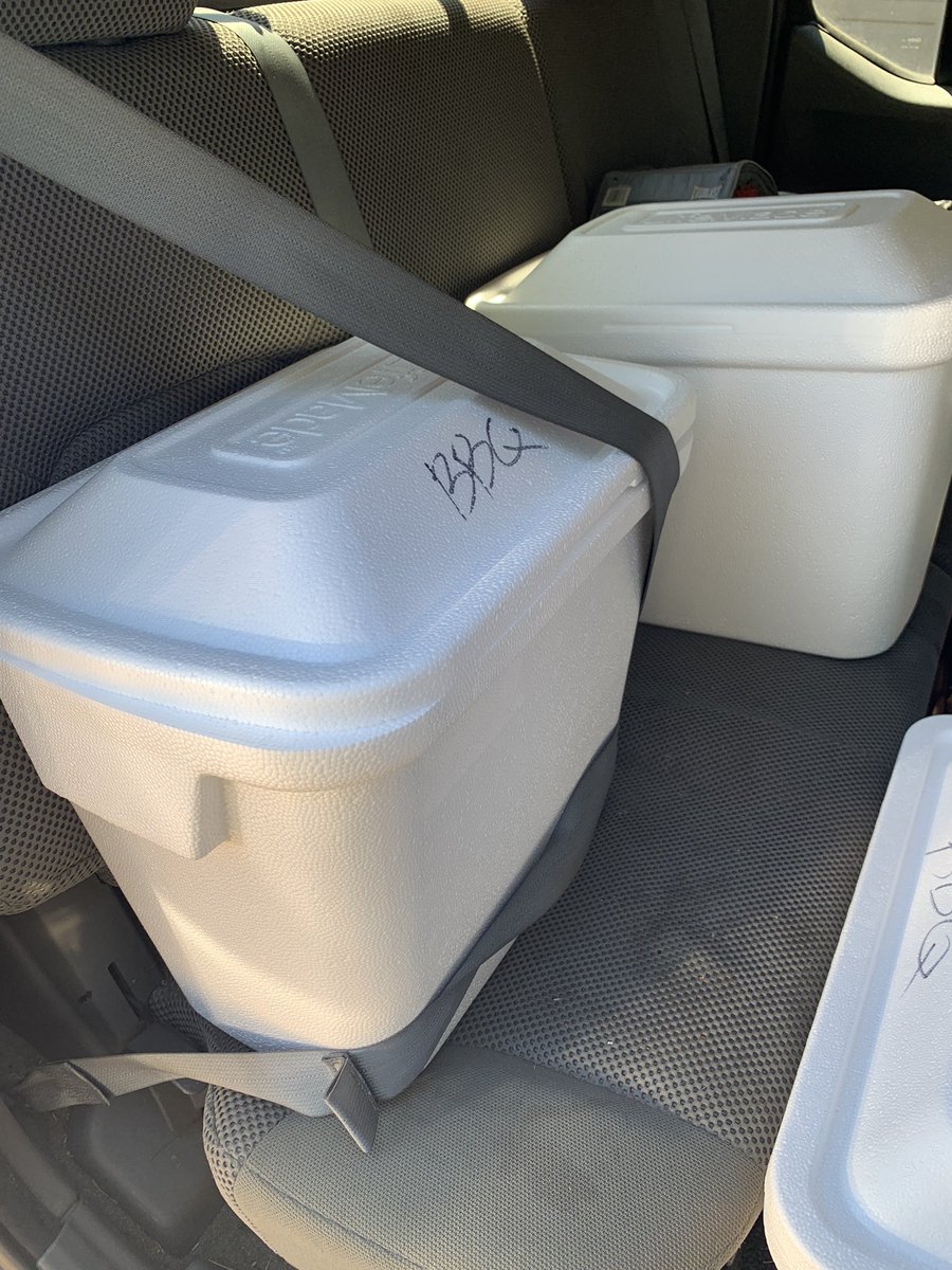 Safety first, y’all…