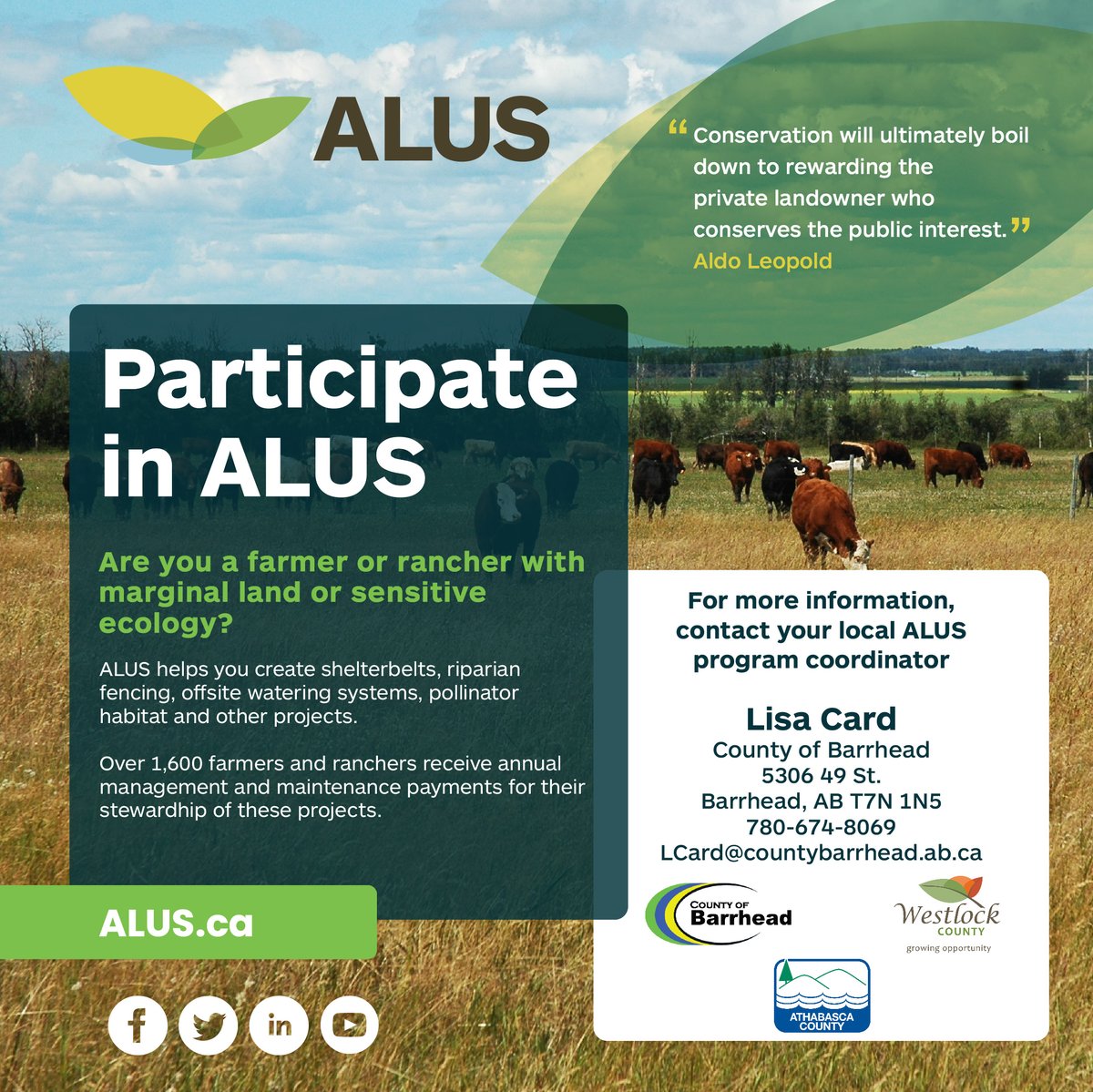 Are you a producer in Westlock County considering a project that would benefit the environment? 
ALUS has funding to help establish projects such as fencing creeks and putting in offsite waterers, and much more.  
To learn more, call Lisa at 780-674-8069.