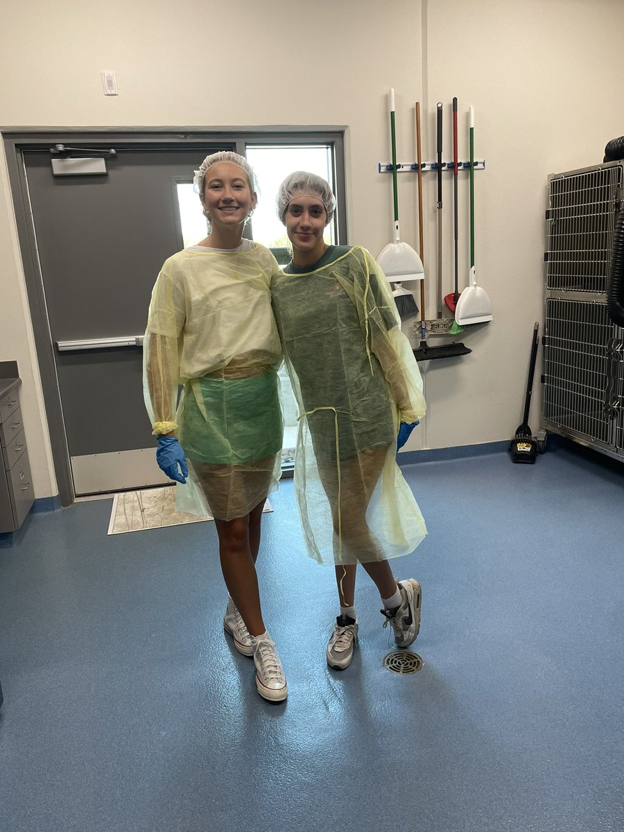 Scrubbed in and ready!! Even Watson, aka Watty, understands the importance of the hairnet!  #vetmed #surgicalscrubin #bouffant