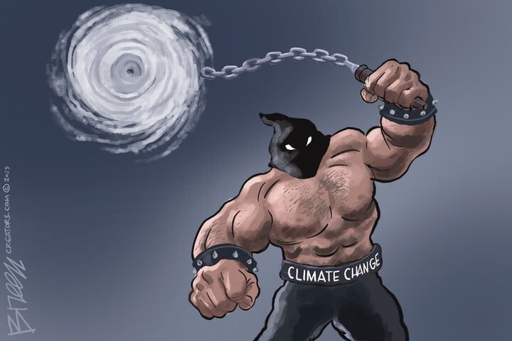 Richard4m's tweet image. These PAID #ARSONISTS are DEMENTED AF