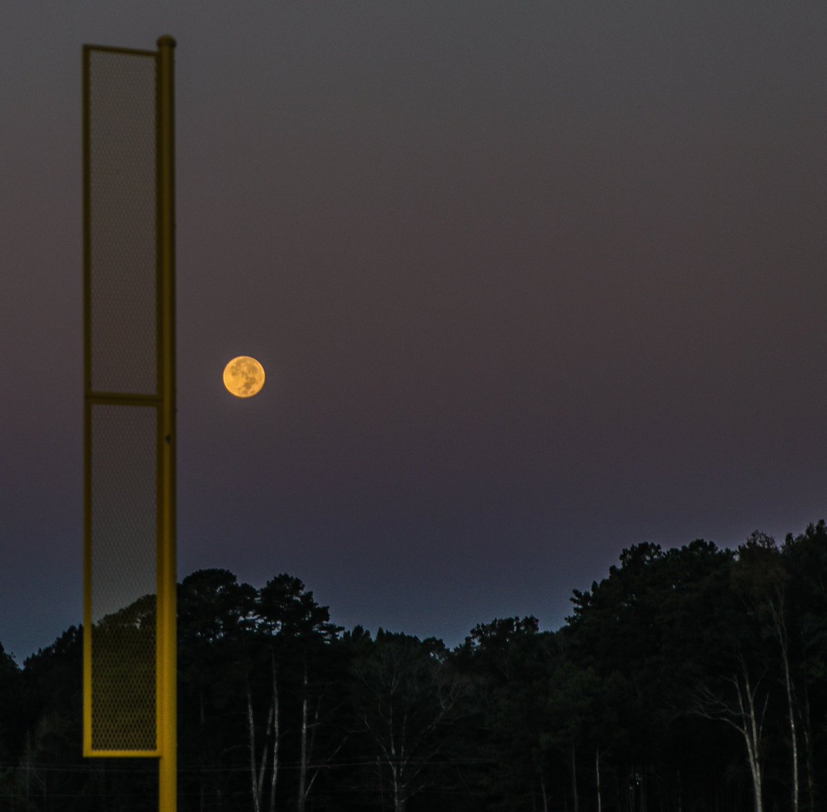 marsh413's tweet image. Moonshot