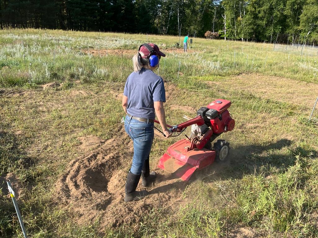 Elizabeth Borer tweet media