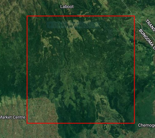 ednah_dindi's tweet image. A simple Vegetation change detection of an area around Mt. Elgon, using @DEarthAfrica #DEAfricaSandbox #Landsat8 #surfacereflectance product, comparing two  different times. Red areas show a negative change while blue ones a positive change. 
@kenmubea @ZvikoDM @JosephTUYISHIMI