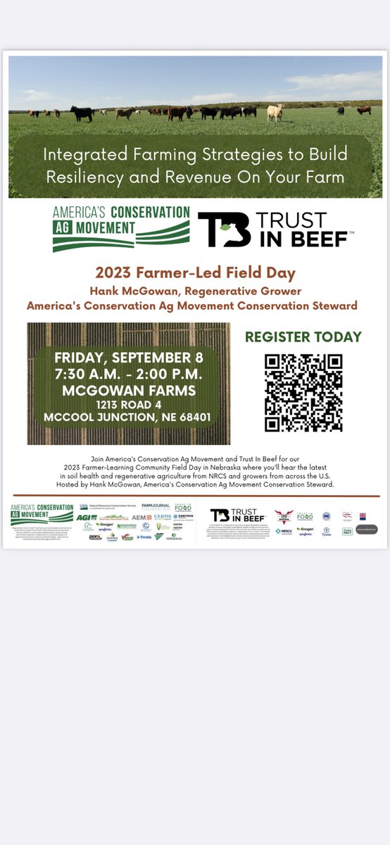 CGI Seed tweet media