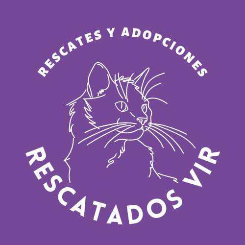 Crypto_WenMoon's tweet photo. (1/7)
Hello everyone! Not sure if this is the right place to do this but, I'm starting a crowdfunding campaign to raise funds for a dedicated cat rescue organization (https://t.co/9ewaegowGF) located in Cordoba, Argentina. https://t.co/cQjoErosNl