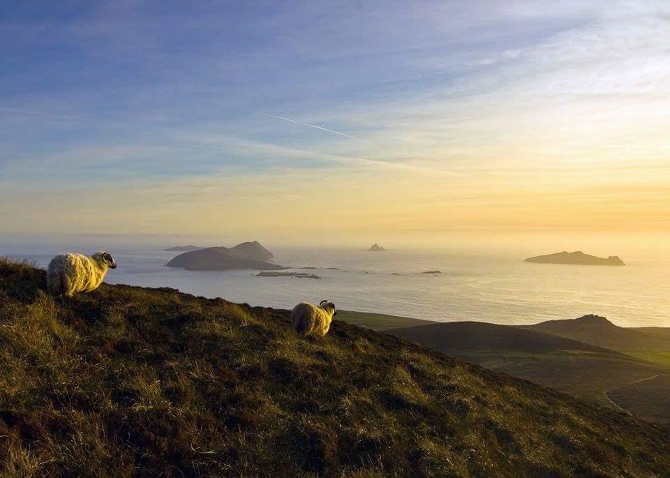 ciaraquill's tweet photo. #Kerry #Ciarraí #AnDaingean #home 💚💛
I don’t know who took this photo but it’s stunning. https://t.co/Js2x6kJyrl