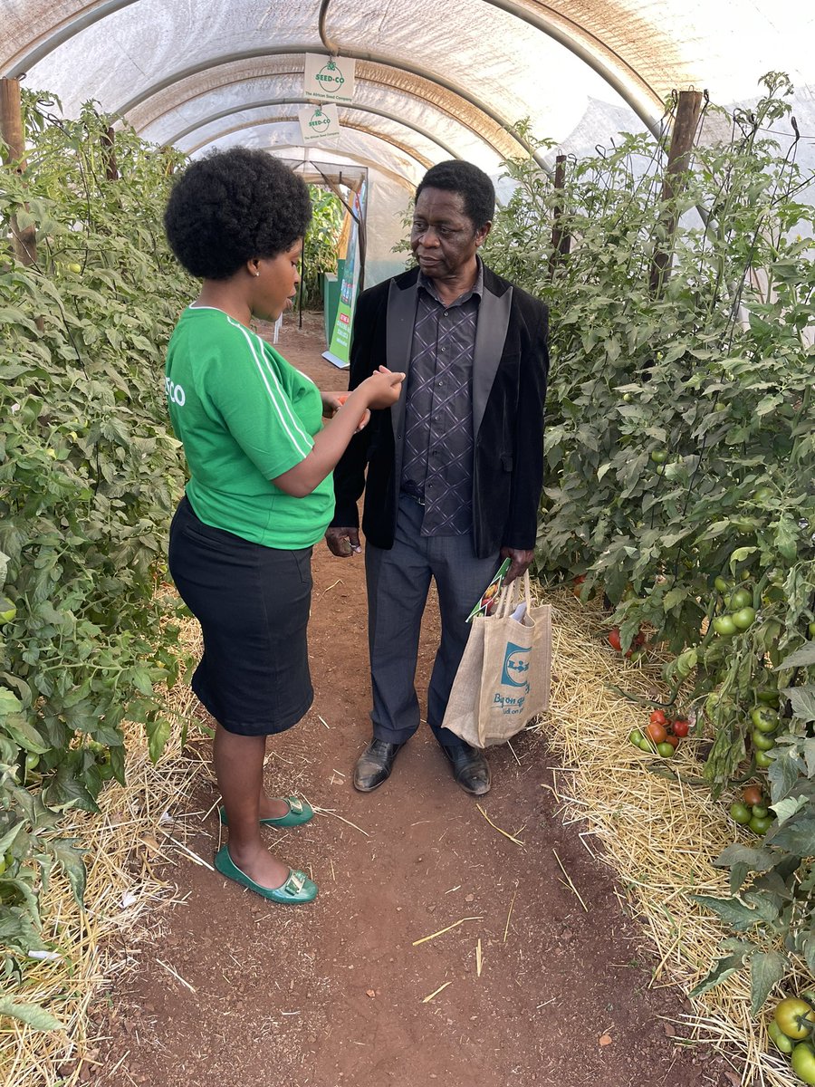 Wendy Matashu Madzura tweet media