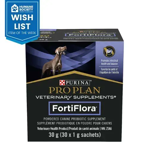 Humane Society London & Middlesex tweet media