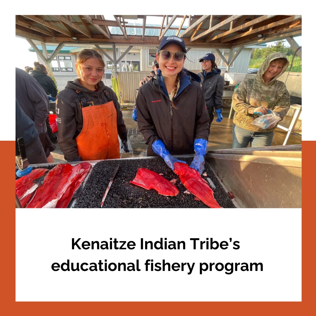 Cook Inlet Region tweet media