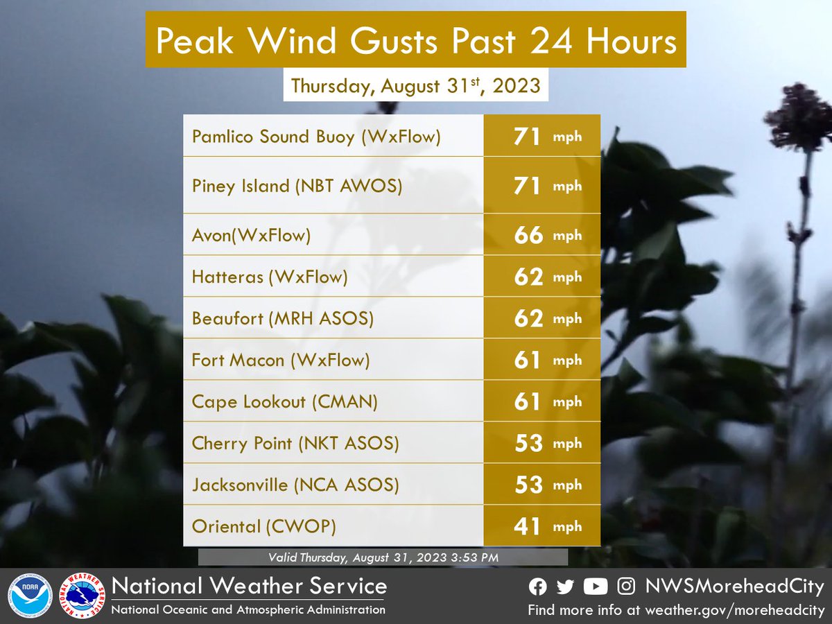 A sample of some rainfall amounts and peak wind gusts the past 24 hours from #Idalia. These are preliminary. Total rainfall won't be fully complete until the rain stops. #nws