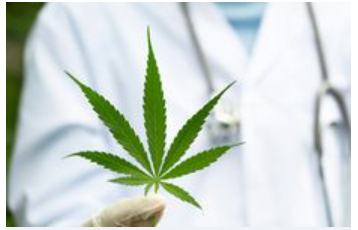 Turna Ray tweet media