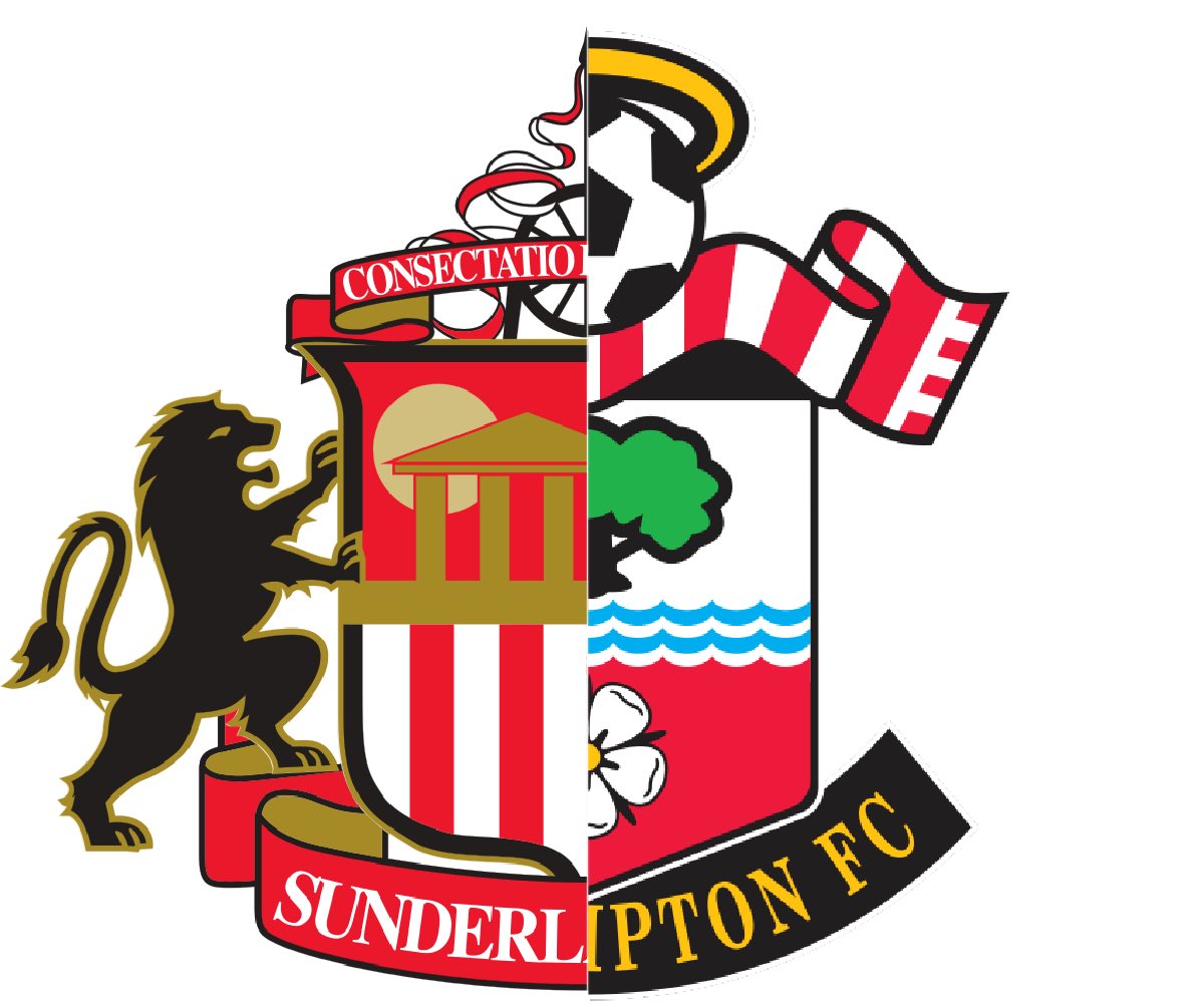 New club logo😂 #SAFC
