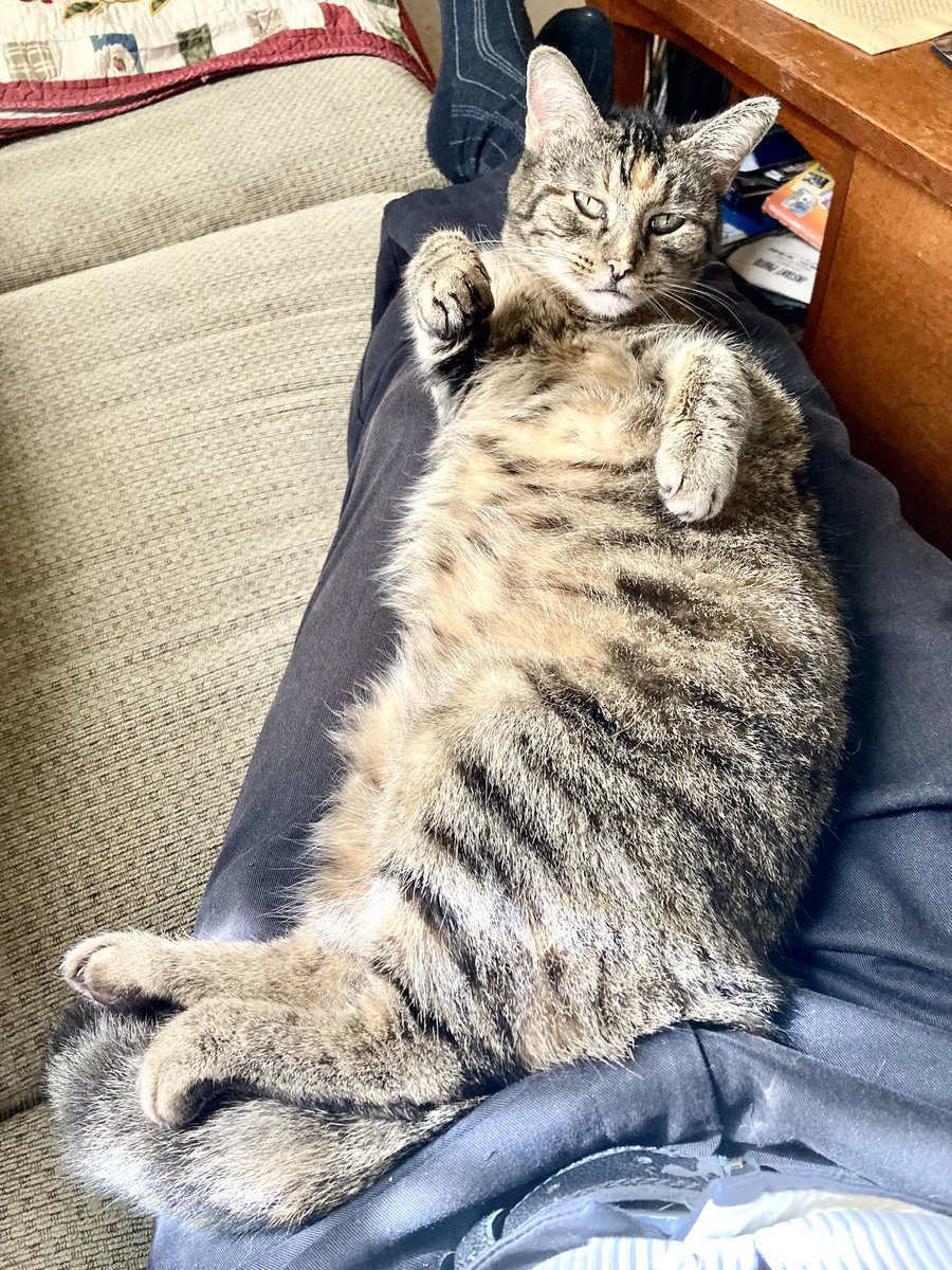 Brett Withers tweet media