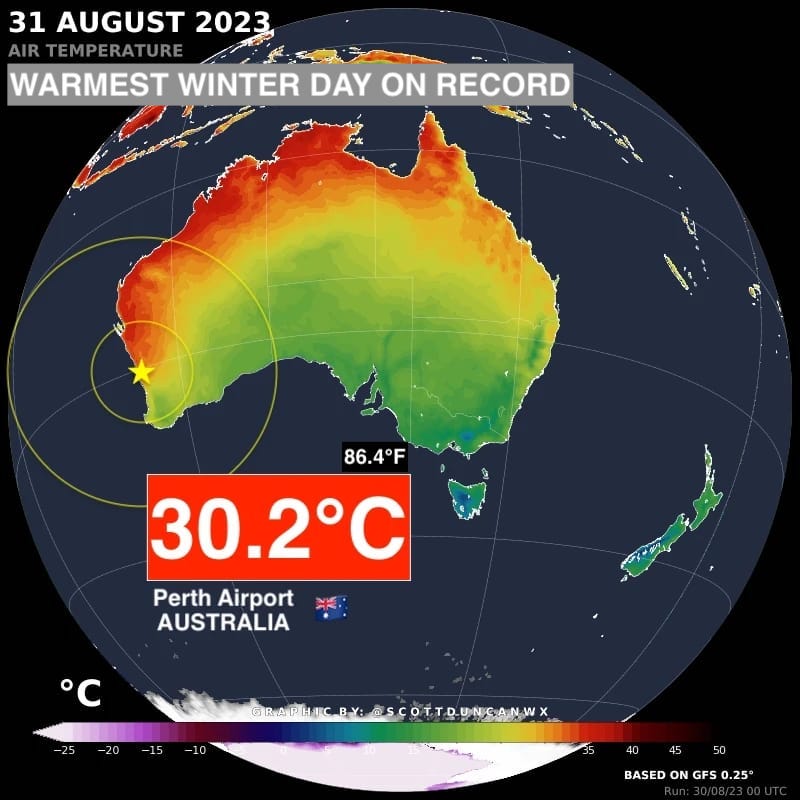 Scott Duncan tweet media