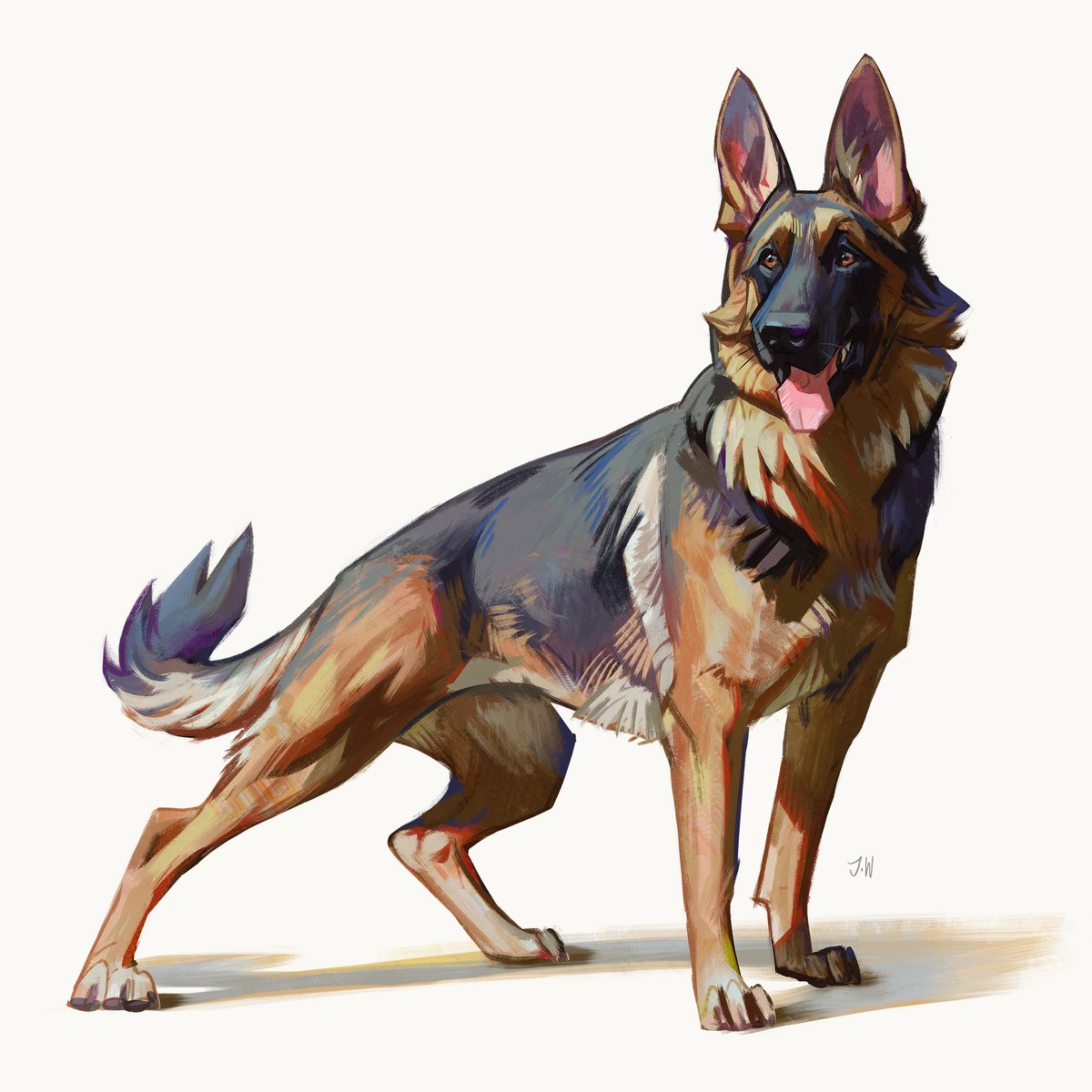 #doggust 27, German Shepherd. A bit late but finally done!! :D