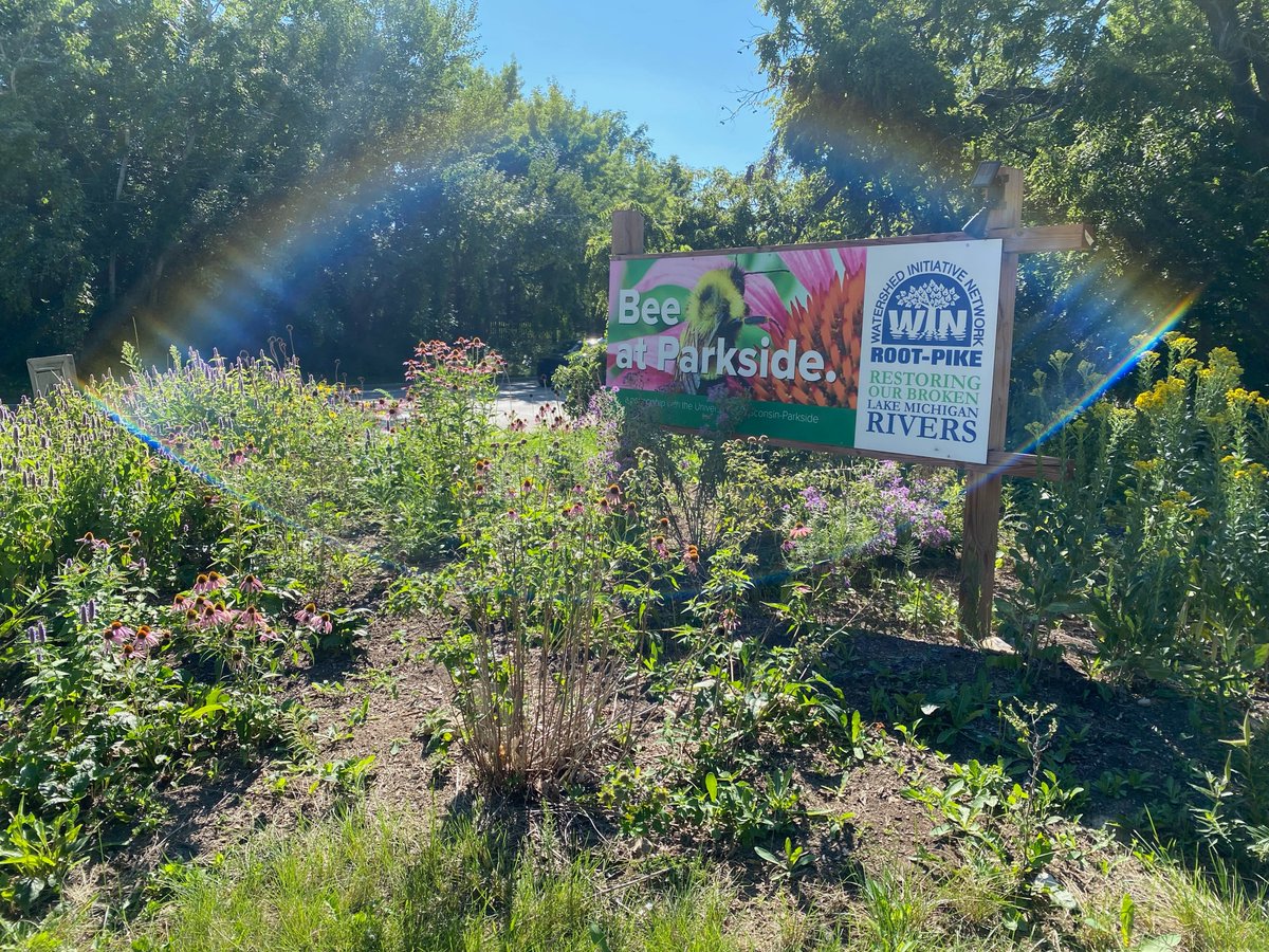 HUGE thanks to the team from <a href="/amazon/">Amazon</a> Fullfillment MKE 1 for all their hard work beautifying the area along Highway E in preparation for native plants!!

#doinggreatthings #withcoolpeople #watershed #warriors #nativeplants for #waterquality