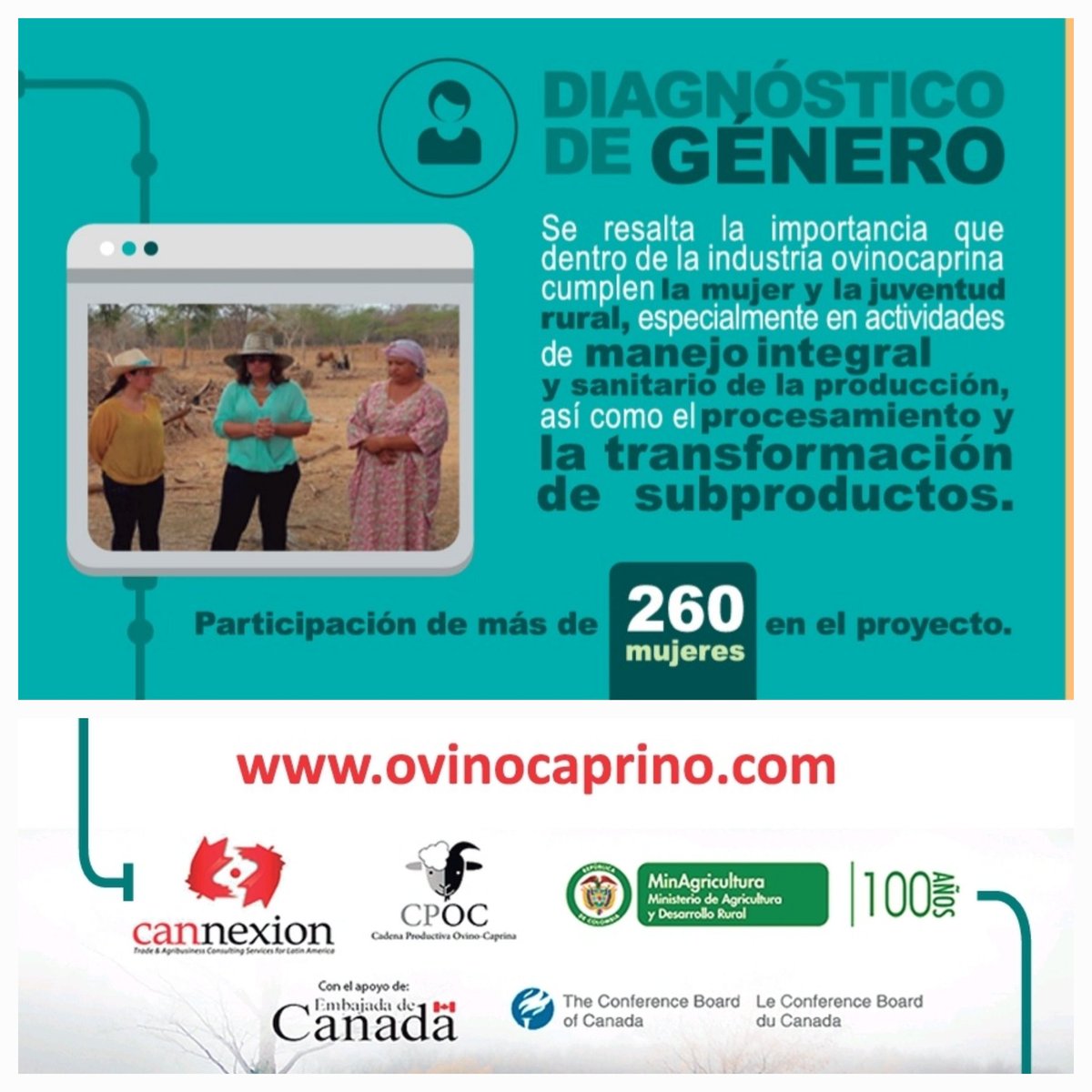 coLAMBia22's tweet photo. @HonAhmedHussen @EduCannotWait Almost 80% of the colombian goat population &amp; 45% of the sheep flock is located in La Guajira Thanks to the new sanitary health certificate, 🇨🇴 has access to 🇨🇦 genetics. Let's continue working the #Ovinocaprino project funded by @GAC_Corporate 

👇
https://t.co/M3CwSUiXuQ
👆 https://t.co/dytnCyirjw