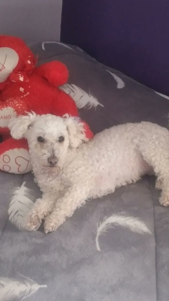 Hermosa mia