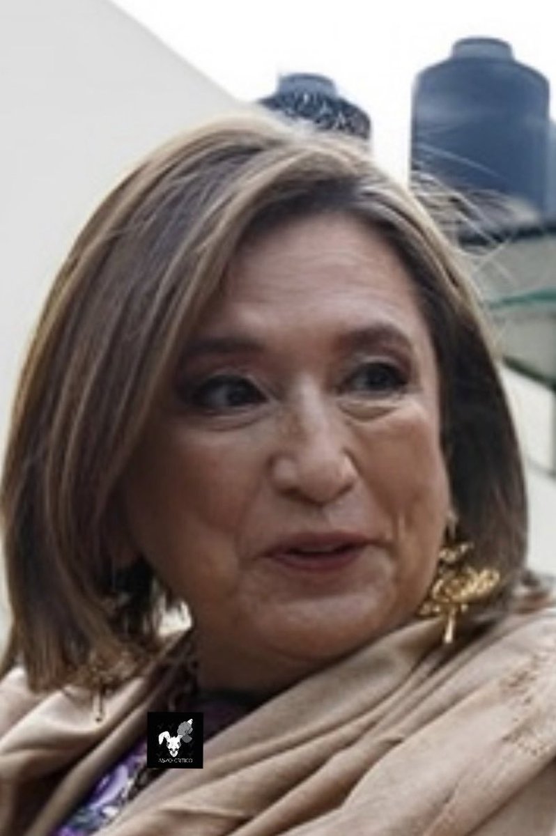 CarmeloArteagaR's tweet photo. “El pregsidente nada más está paga jodeg”
Xóchitl Galvez
Palabras de estadista, de una mujeg con futugo magavilloso

Tú cómo la ves?

 #Alito #ElPri #BeatrizParedes  #Ciro #Morena https://t.co/xCL7cVUvgP