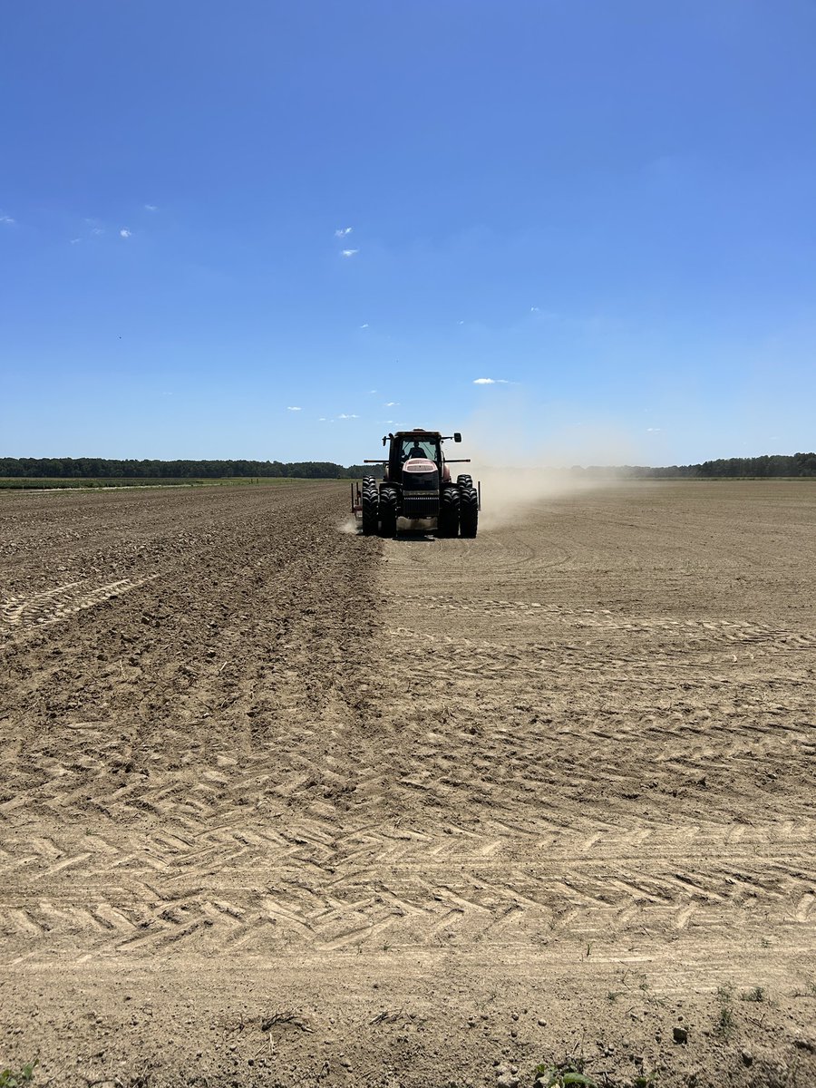 Pine Tree Research Station tweet media